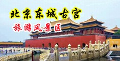 男人爆操小姐处女的特黄视频中国北京-东城古宫旅游风景区